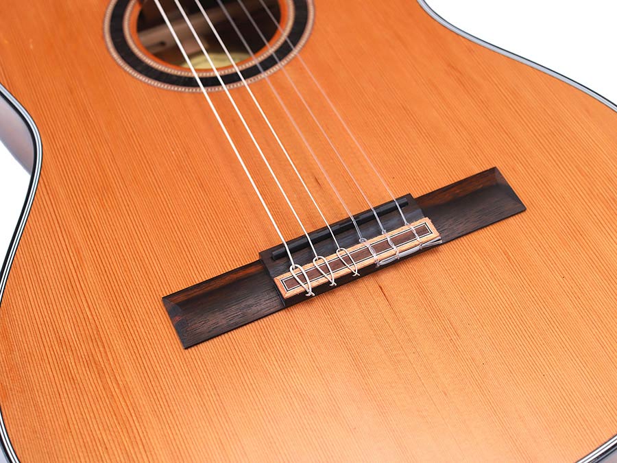 Valencia Series 700 slim body klassieke gitaar 4/4 Valencia