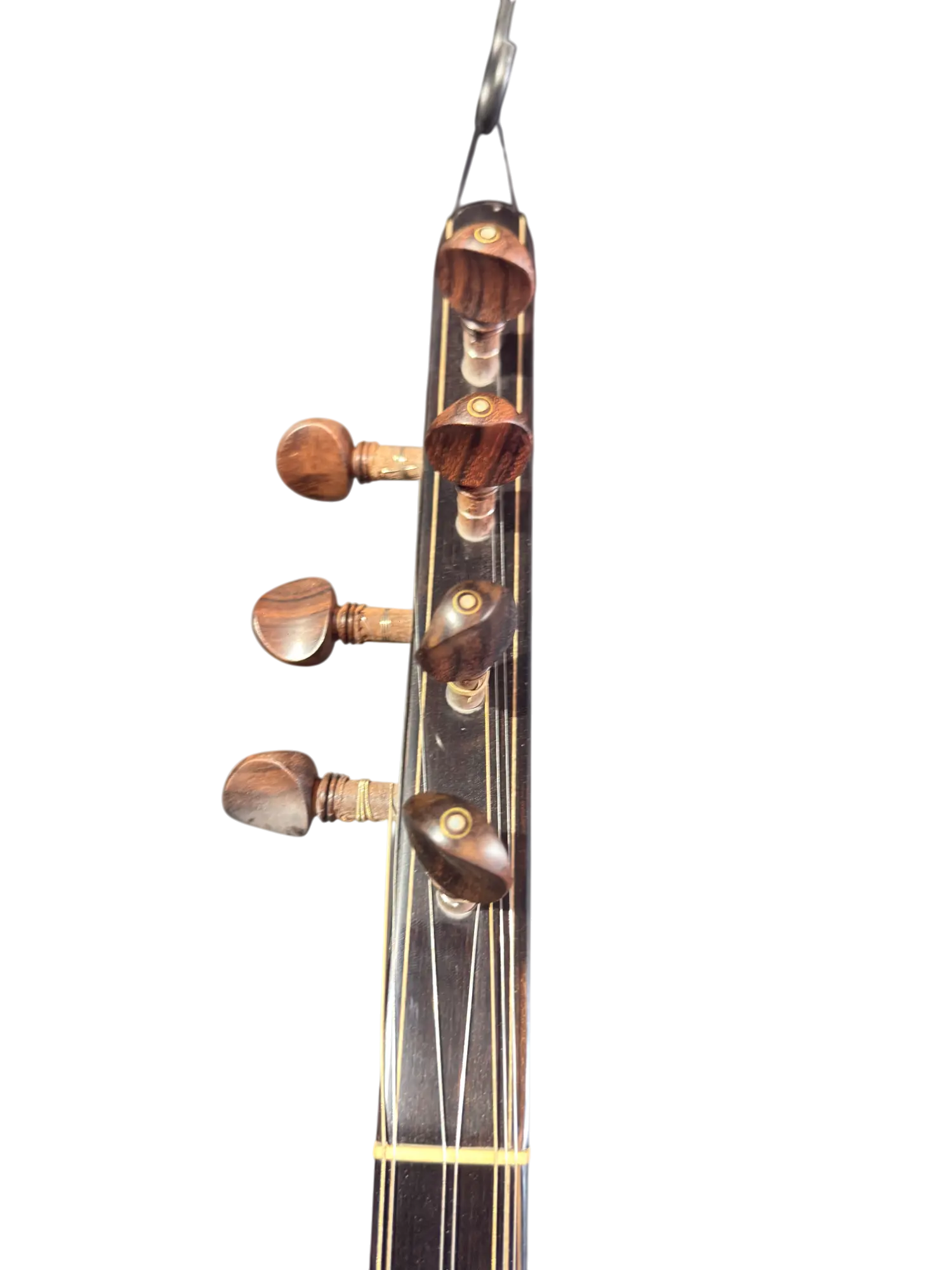Korte hals Bağlama (saz) Kelebek 41.50 - Miremi